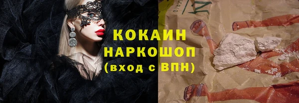 шишки Арсеньев