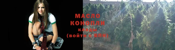 шишки Арсеньев
