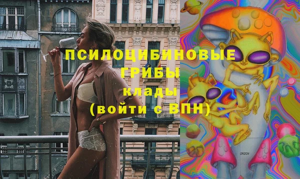 шишки Арсеньев