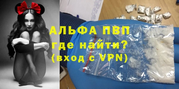 шишки Арсеньев