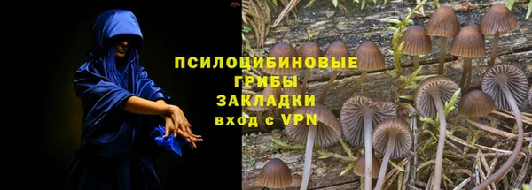шишки Арсеньев