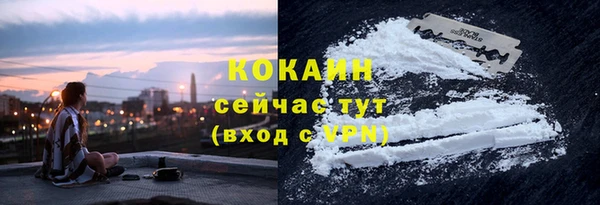 шишки Арсеньев